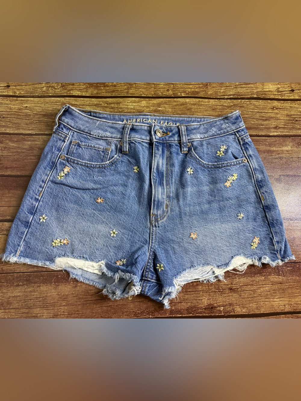 American Eagle Outfitters Light Blue Embroidered Frayed Denim Shorts